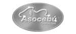 asocebu-logo-grises